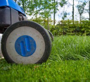 Paysagiste Phalsbourg